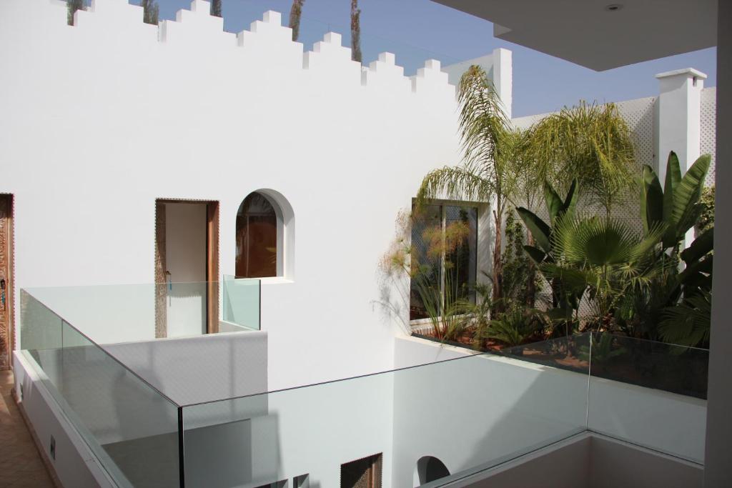 Riad Zyo image 8