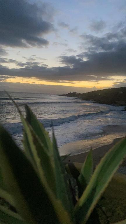 Taghazout Sunset image 8