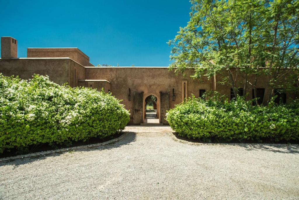 Villa Alouna en exclusivité avec piscine privée dans la Palmeraie image 1