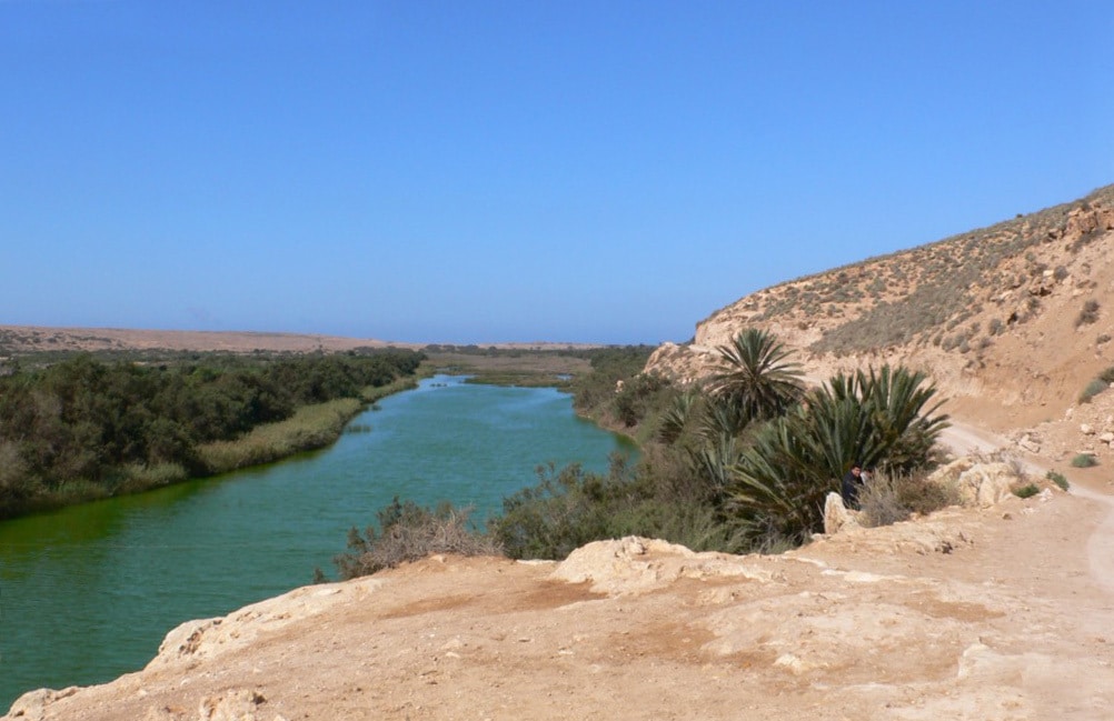 oued massa parc national